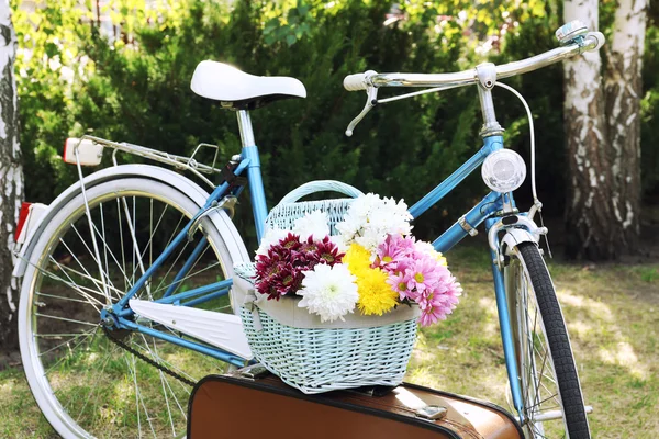 Bicycle and brown suitcase with picnic set in shadow in park — Stock Photo, Image