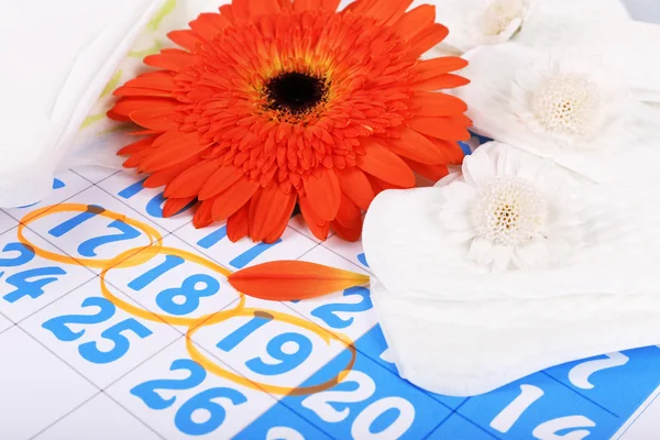 生理用ナプキンと青いカレンダーの背景にオレンジ色のガーバー — ストック写真