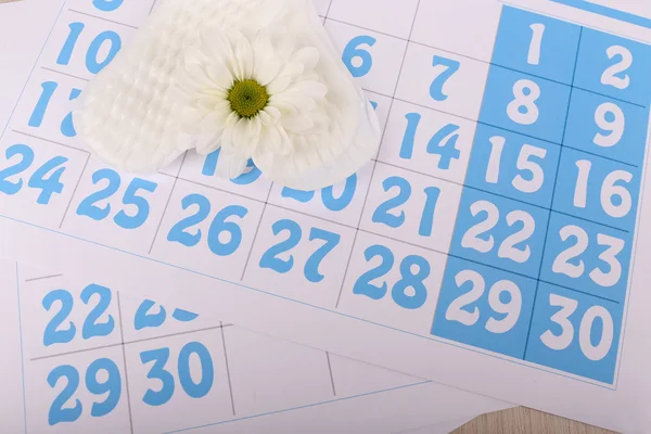 Almofadas sanitárias, calendário e flor branca no fundo calendário azul — Fotografia de Stock