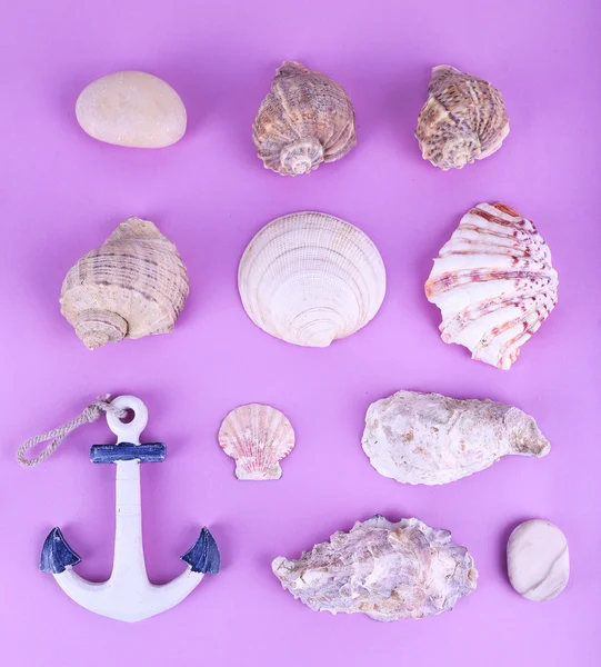 Sea souvenirs on purple background