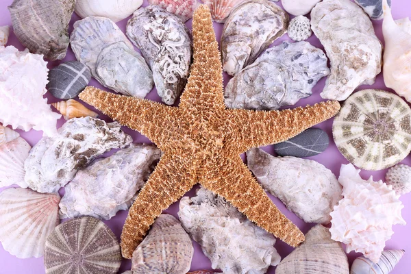 Sea souvenirs closeup — Stock Photo, Image