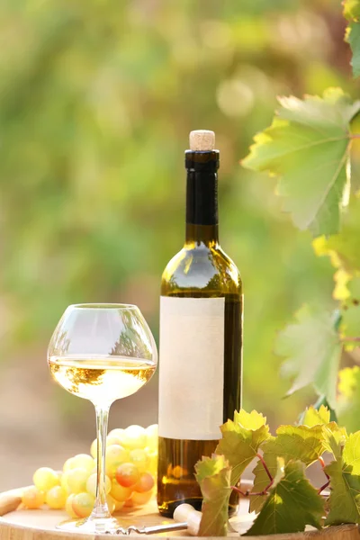 Lezzetli şarap üzüm çiftlik arka plan üzerinde ahşap varil üzerinde — Stok fotoğraf