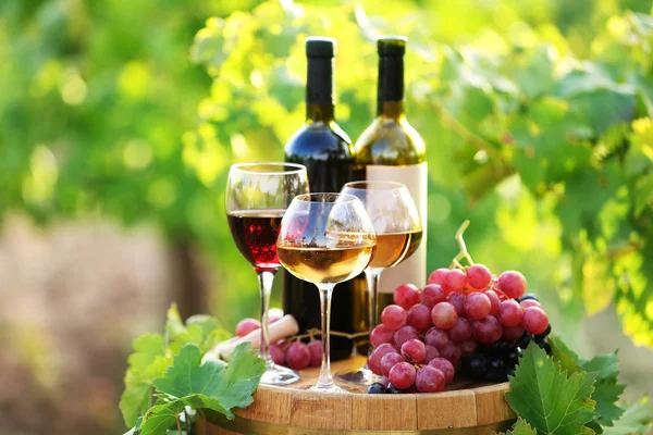 Smaczne wino na drewnianej beczce na tle plantacji winogron — Zdjęcie stockowe