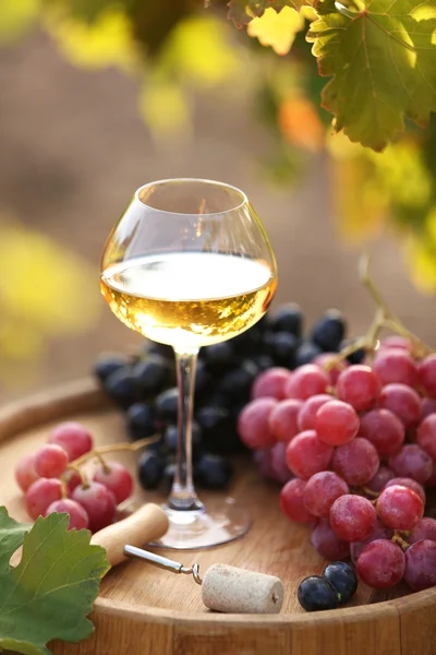 Wineglass and grape on wooden barrel on grape plantation background — Stock Photo, Image