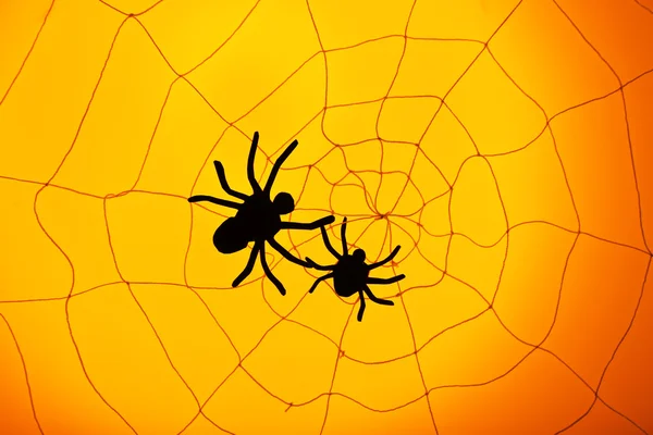 Spider on web. Halloween decoration concept — Stock Photo, Image