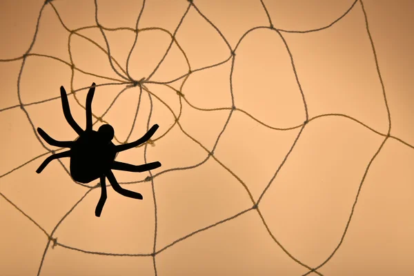 Araña en la web. concepto de decoración de Halloween —  Fotos de Stock