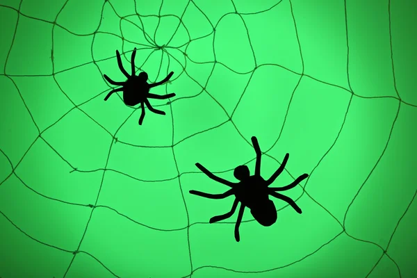 Aranhas na teia. Conceito de decoração Halloween — Fotografia de Stock