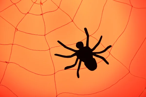 Aranha na teia. Conceito de decoração Halloween — Fotografia de Stock