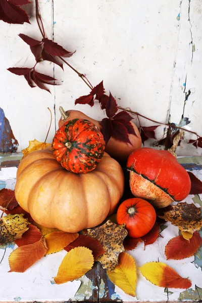 Citrouilles et feuilles à bord — Photo