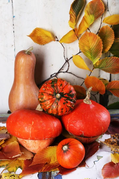 Pumpkins and leaves on board — Stock Photo, Image