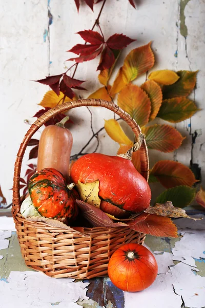 Pumpkins in wicker basket — Stock Photo, Image
