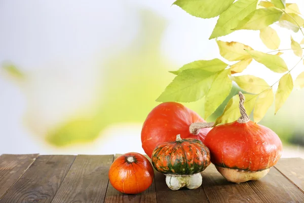 Pompoenen op houten tafel — Stockfoto