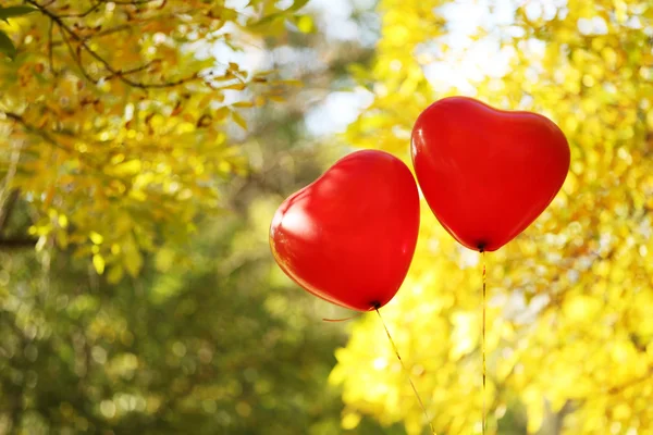 Love heart balloons — Stock Photo, Image