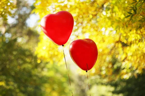 Amour coeur ballons — Photo