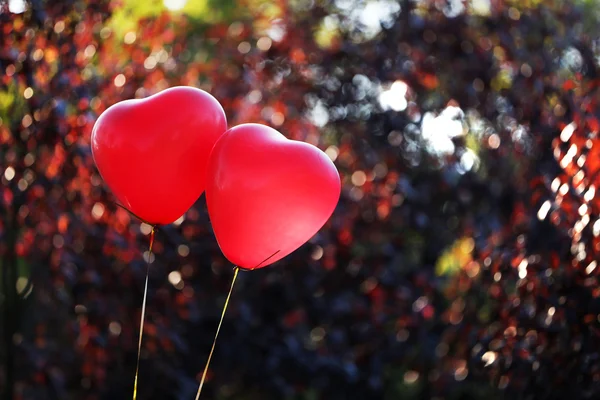 Love heart balloons — Stock Photo, Image