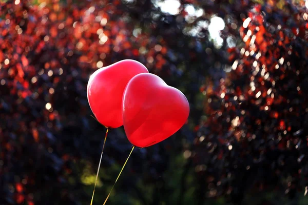 Aşk Kalp balonlar — Stok fotoğraf