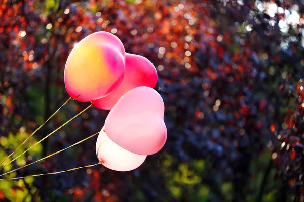 Balões de coração amor — Fotografia de Stock