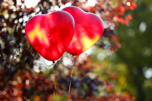 Amore cuore palloncini — Foto Stock