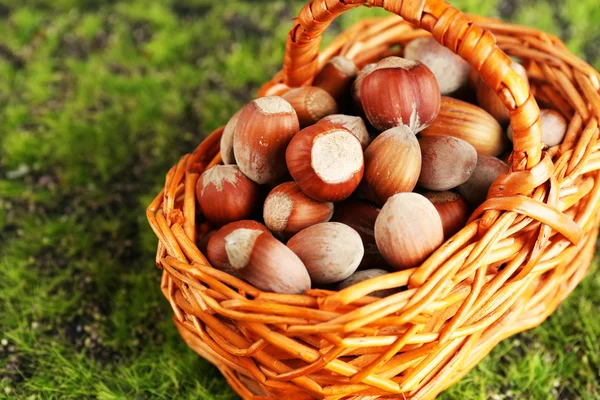 Hazelnuts in wicker basket, on green grass background — Stock Photo, Image