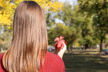 güzel sonbahar yaprak