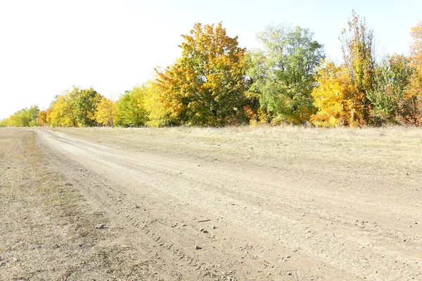 Road and autumn trees — Stock Photo, Image