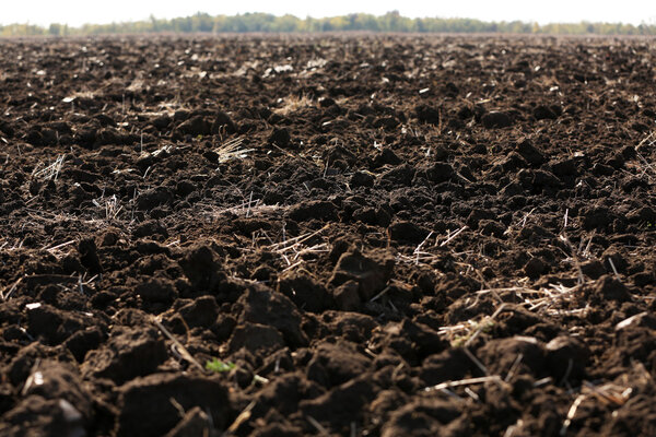 Soil natural background