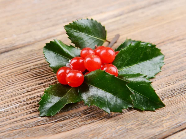 Leaves of mistletoe with berries — Stock Photo, Image