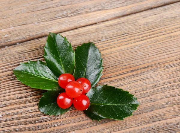 Leaves of mistletoe with berries — Stock Photo, Image