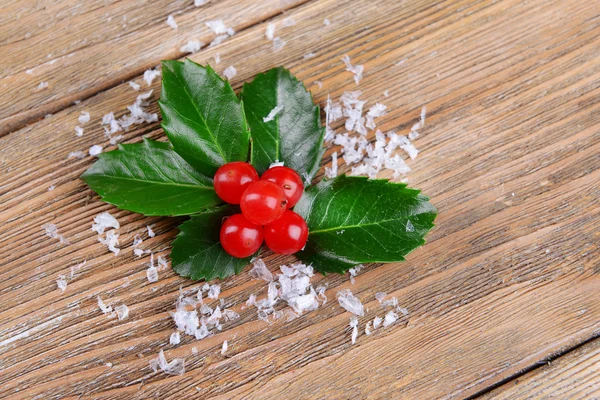 Leaves of mistletoe with berries — Stock Photo, Image