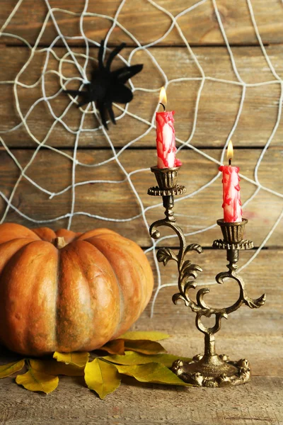 Halloween decoration with spider — Stock Photo, Image