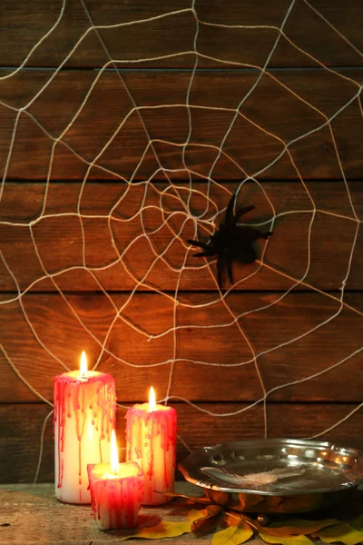 Decoración de Halloween con araña — Foto de Stock