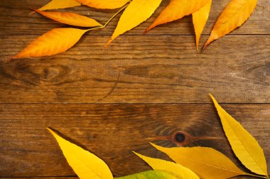 Ahşap arka planda sonbahar yaprakları