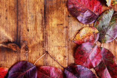 Ahşap arka planda sonbahar yaprakları