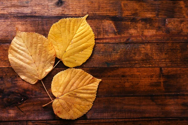 Yellow leaves on brown wooden background — Stock Photo, Image