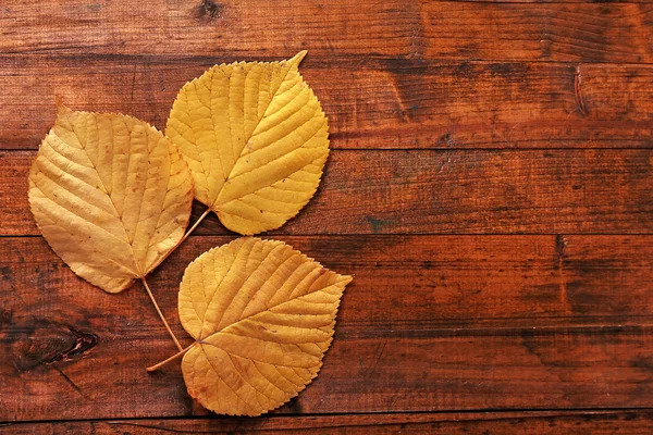 Sonbahar yaprakları kahverengi ahşap zemin üzerinde — Stok fotoğraf
