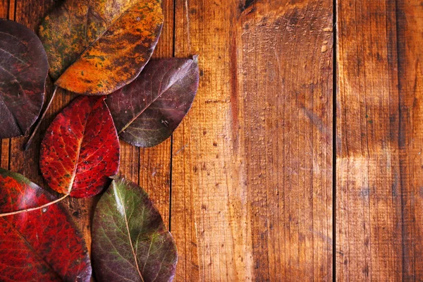 Autumn leaves on brown wooden background — Stock Photo, Image