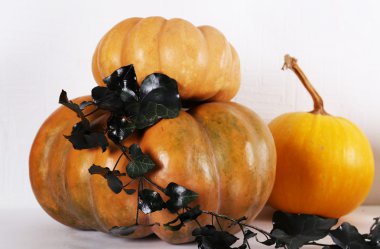 Cadılar Bayramı kompozisyon portre