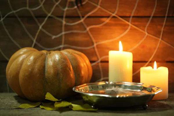 Halloween dekoration med spindel — Stockfoto