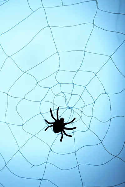 Dekorativa spindel i spiderweb — Stockfoto