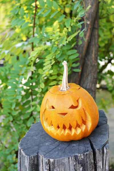 Pumpkin for holiday Halloween on old tree stump