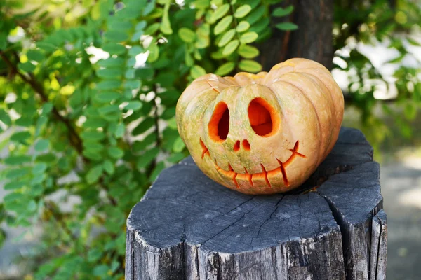 Pompoen voor Halloween op oude boomstronk vakantie — Stockfoto