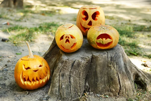 Pumpkins for holiday Halloween on old tree stump — Stock Photo, Image