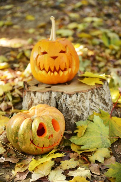 Pompoenen voor vakantie Halloween op oude boomstronk — Stockfoto