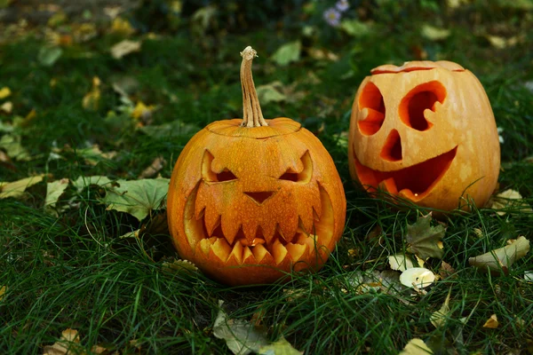 Pumpkins for holiday Halloween on grass background