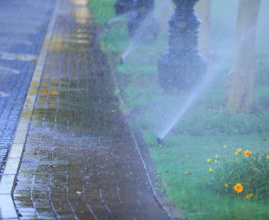 Çimleri sulayan otomatik fıskiyeler