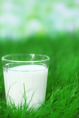 Süt cam çimenlerin üzerinde