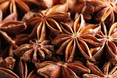 Lezzetli anason yıldız