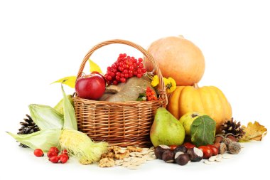 güzel sonbahar kompozisyon