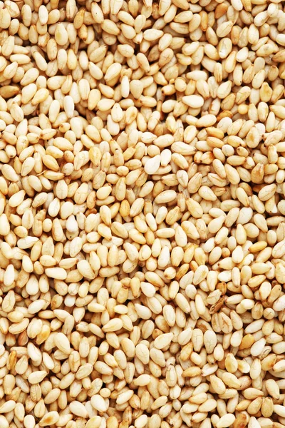 White sesame seeds — Stock Photo, Image