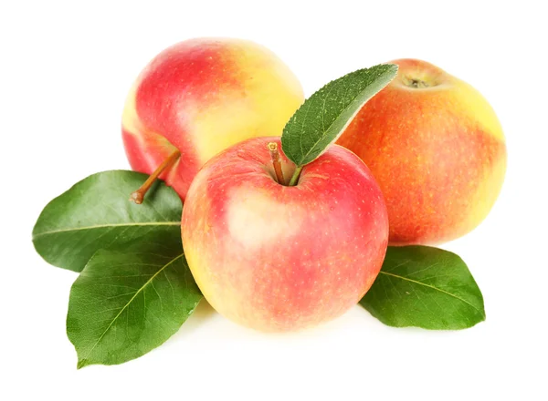 Olgun elma üzerine beyaz izole — Stok fotoğraf